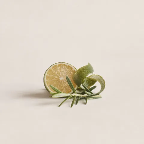 Spritz
