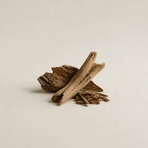 Dry Woods