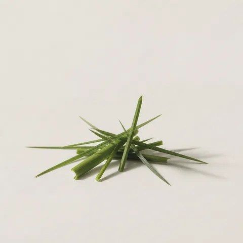 Cut Grass