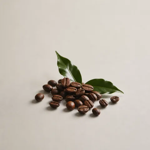 Arabica Coffee