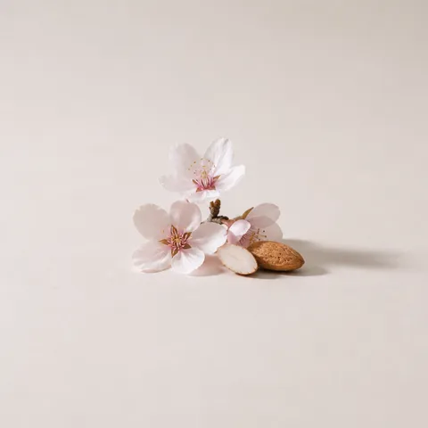 Almond Blossom