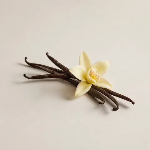 Bourbon Vanilla