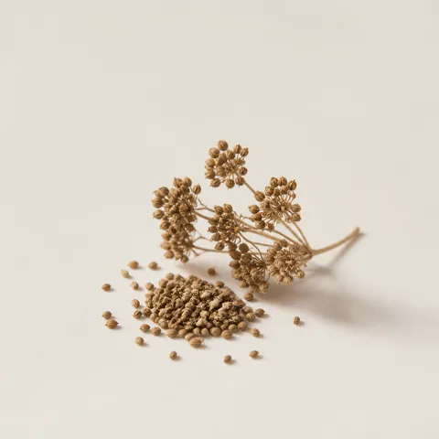 Celery Seeds