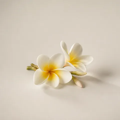 Plumeria