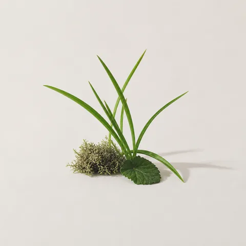 Vert-de-feuille