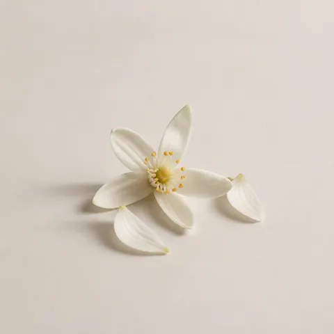 Neroli Petals