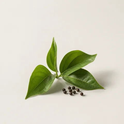 Pepper Leaf