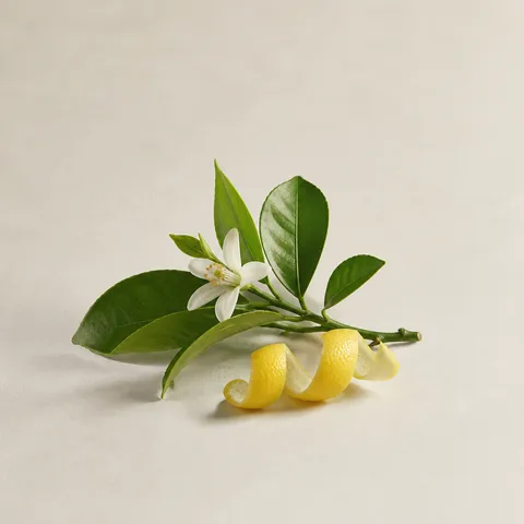 Petitgrain Lemon