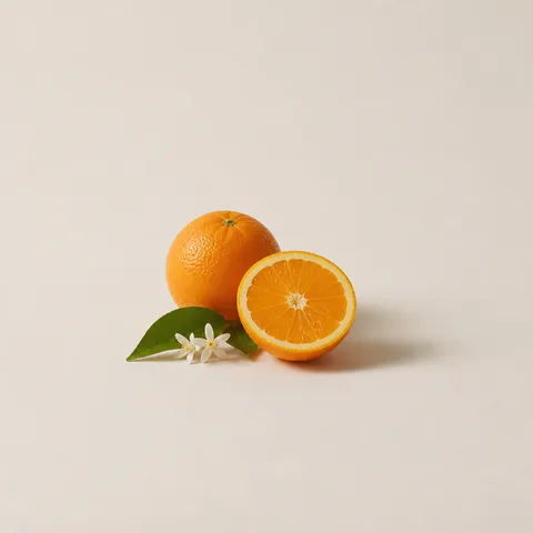 Navel Orange