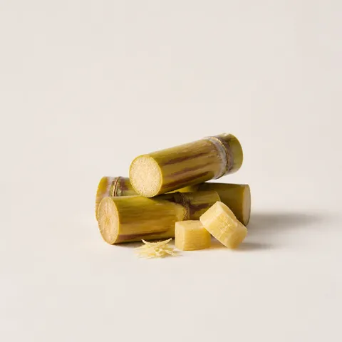 Sugarcane