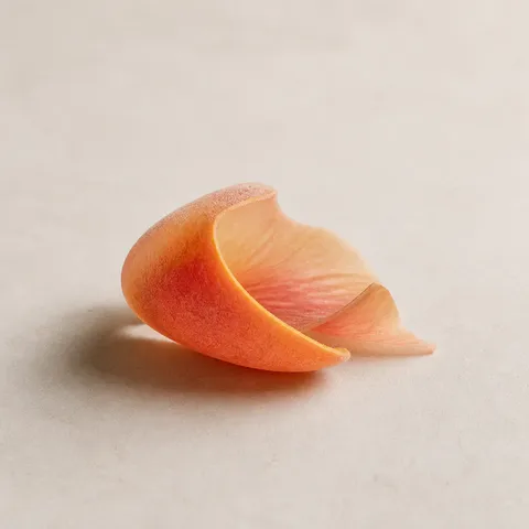 Peach Skin