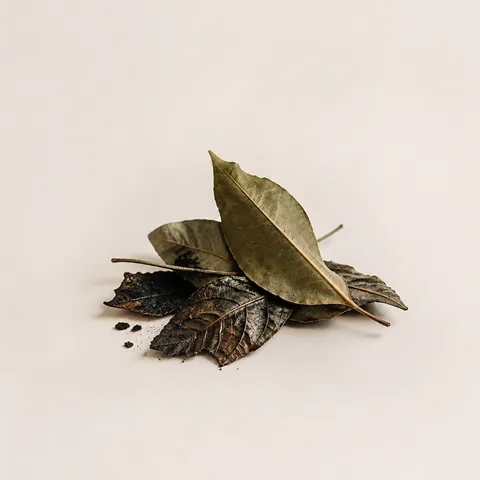 Smoked Leaves