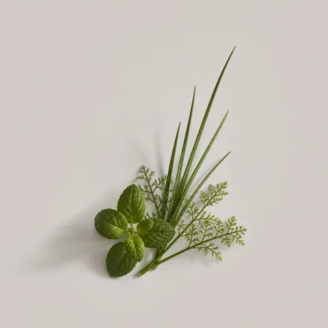 Herbaceous Green Notes