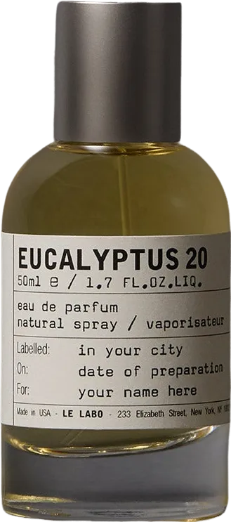 ユーカリプタス 20