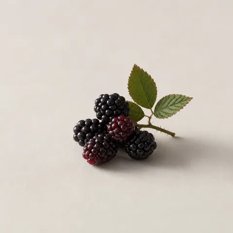 デューベリー