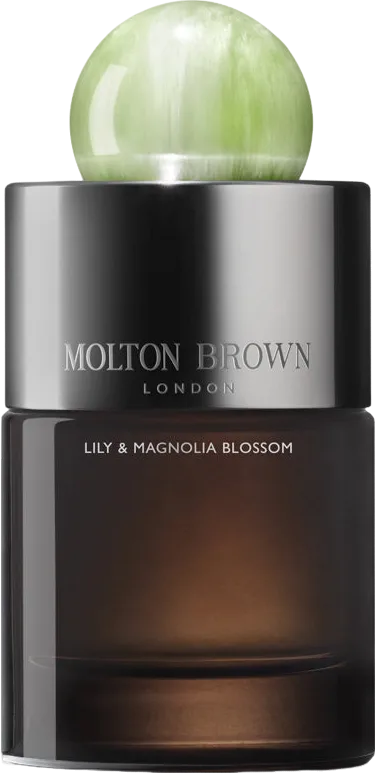 Lily & Magnolia Blossom