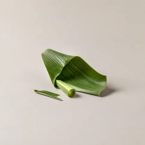 バナナリーフ