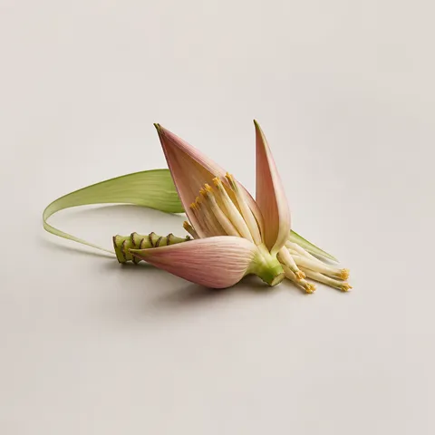 Banana Flower