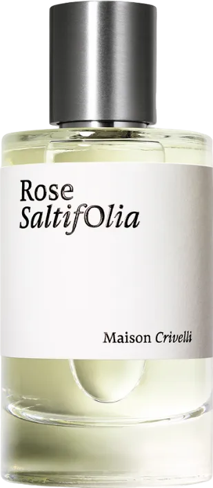 Rose Saltifolia