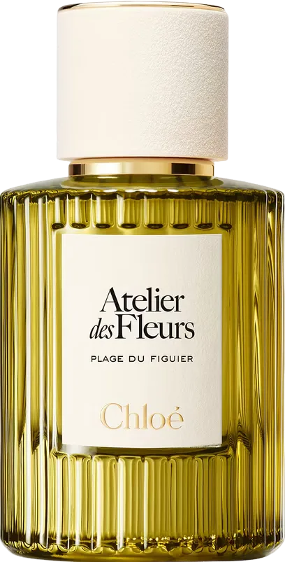 Atelier des Fleurs Plage du Figuier