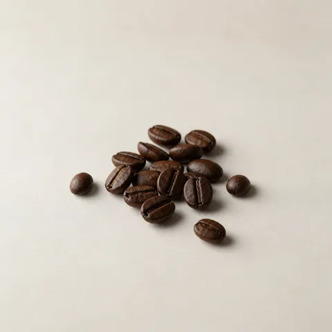 Coffee Bean