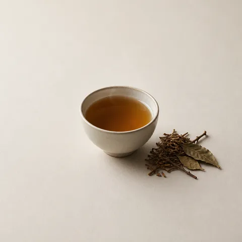 ほうじ茶アコード