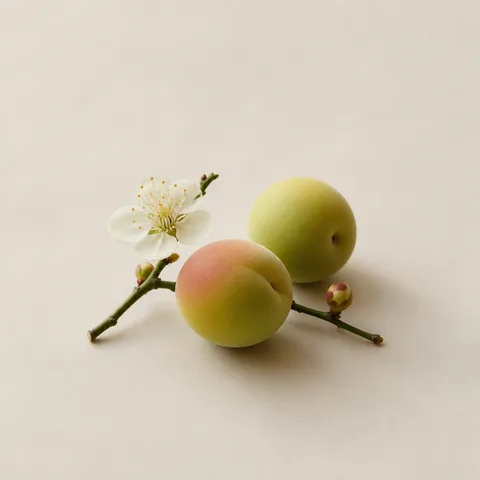 梅