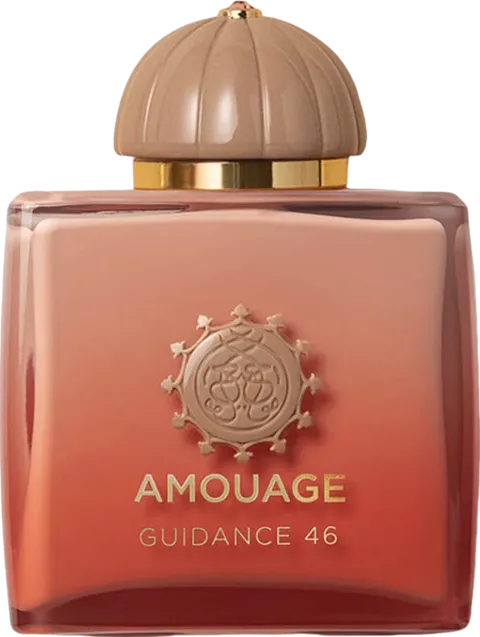 Guidance 46