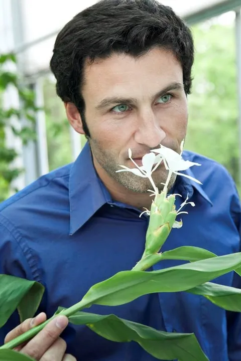 Clément Gavarry