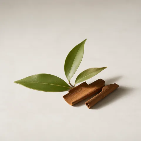 Cinnamon Leaf