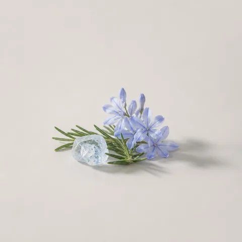 Crystal Bloom Something Pure Blue Eau de Parfum Accord