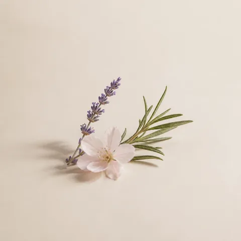 Jill by JILL STUART Eau de Toilette Accord