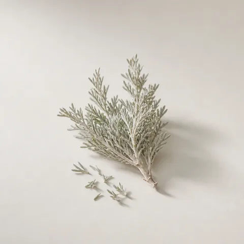 Sagebrush