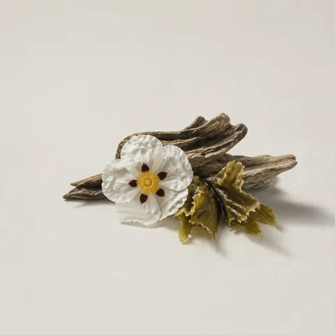 Marine Cistus