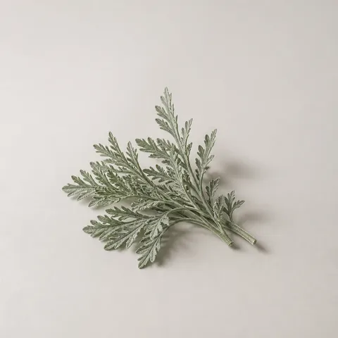 Roman Wormwood