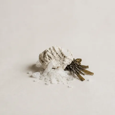 Adriatic Salt