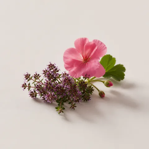 Red Thyme & Bulgarian Geranium