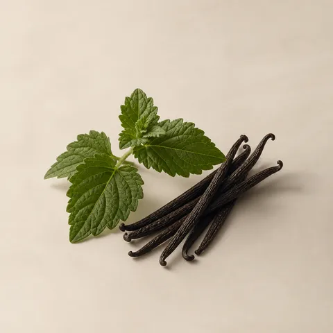 Patchouli from Singapore & Madagascar Vanilla Berries