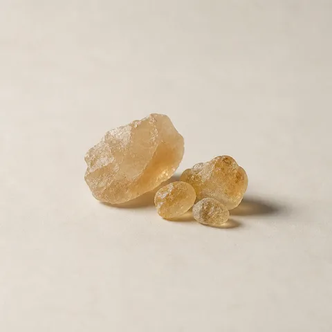 Gum