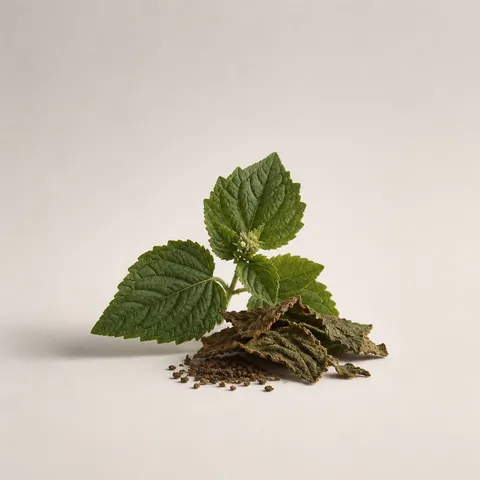 Patchouli from Singapore