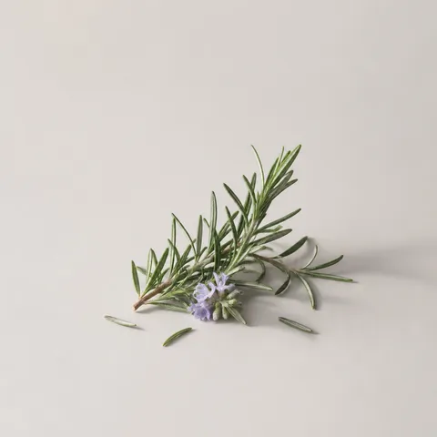 Rosmary