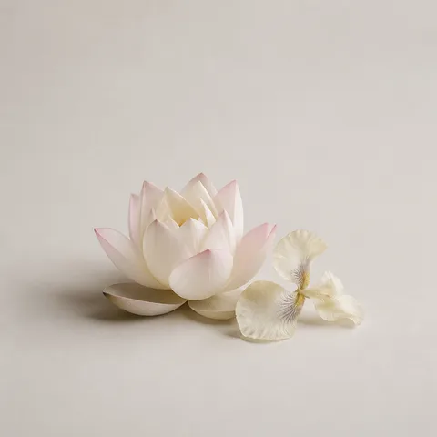 Chinese Lotus & Florence Orris