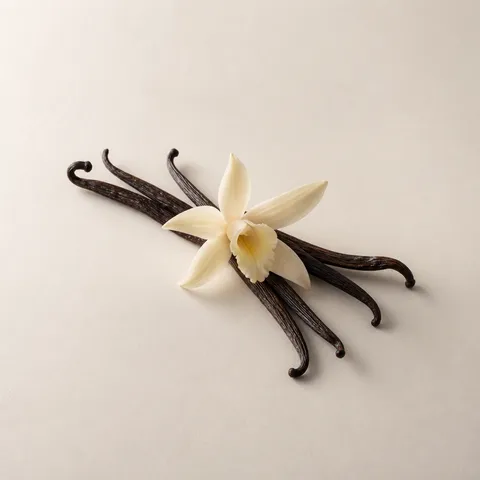 Madagascar Vanilla Bourbon