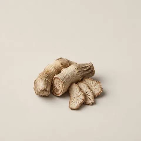 Iris root