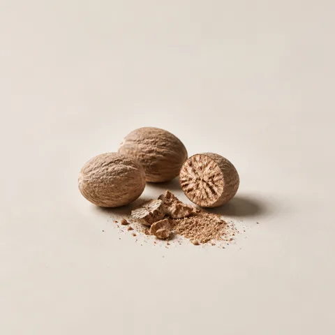 Granada Nutmeg
