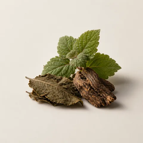 Singaporean Patchouli