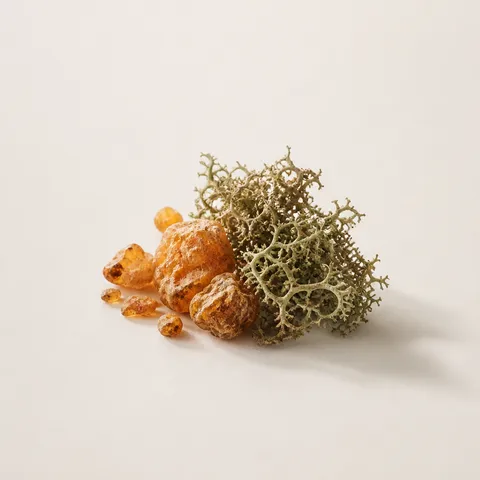 Benzoin & Oakmoss