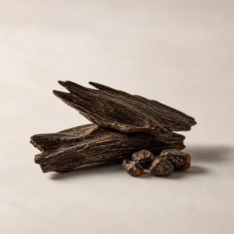 Oud Buaya