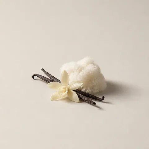 Musk & Vanilla