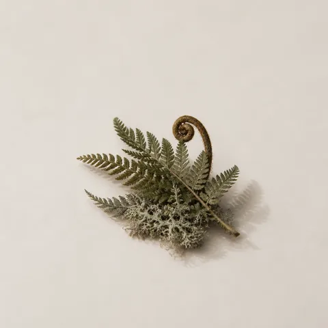 Tigulio Fern